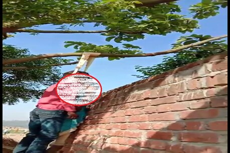 एटा में संदिग्ध परिस्थितयों में पेड़ से लटके मिले भाई-बहन के शव, सिंदूर का रहस्य क्या है... एटा में संदिग्ध परिस्थितयों में पेड़ से लटके मिले भाई-बहन के शव, सिंदूर का रहस्य क्या है...