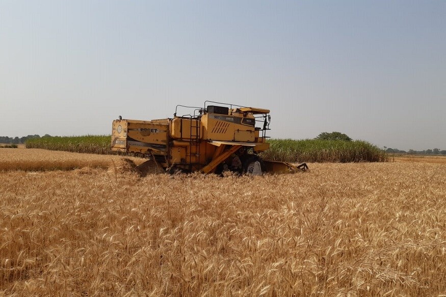 ग ह कट ई पर ल कड उन क असर क र न क ड क झ ल रह ब ह र क क स न Bihar Farmer Crisis Lockdowm Corona Harvest Machine Wheat Crop News18 Hindi