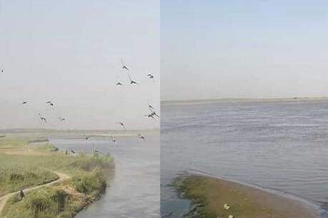लॉकडाउन के पॉजिटिव इफ़ेक्ट: वाराणसी-कानपुर में निर्मल हुई गंगा, 40 से 50 फीसदी तक साफ हुआ पानी लॉकडाउन के पॉजिटिव इफ़ेक्ट: वाराणसी-कानपुर में निर्मल हुई गंगा, 40 से 50 फीसदी तक साफ हुआ पानी