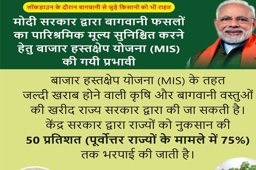 बाजार हस्तक्षेप योजना, मोदी सरकार, खरीद, न्यूनतम समर्थन मूल्य, MSP, राष्ट्रीय कृषि सहकारी विपणन संघ, नरेंद्र सिंह तोमर, कृषि मंत्रालय, किसान कल्याण, MISP, Market Intervention Price Scheme, modi government, Procurement, NAFED, Narendra Singh Tomar, ministry of agriculture, Farmers Welfare, kisan
