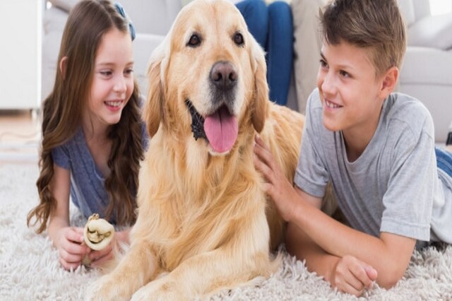 Coronavirus: डब्ल्यूएचओ ने कहा- पालतू जानवरों से संक्रमण के साक्ष्य नहीं