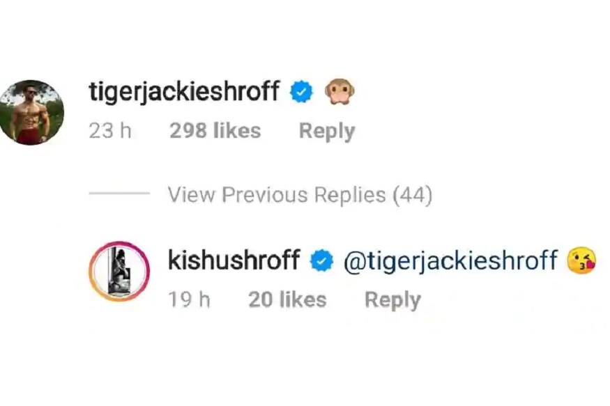 tiger and krishna