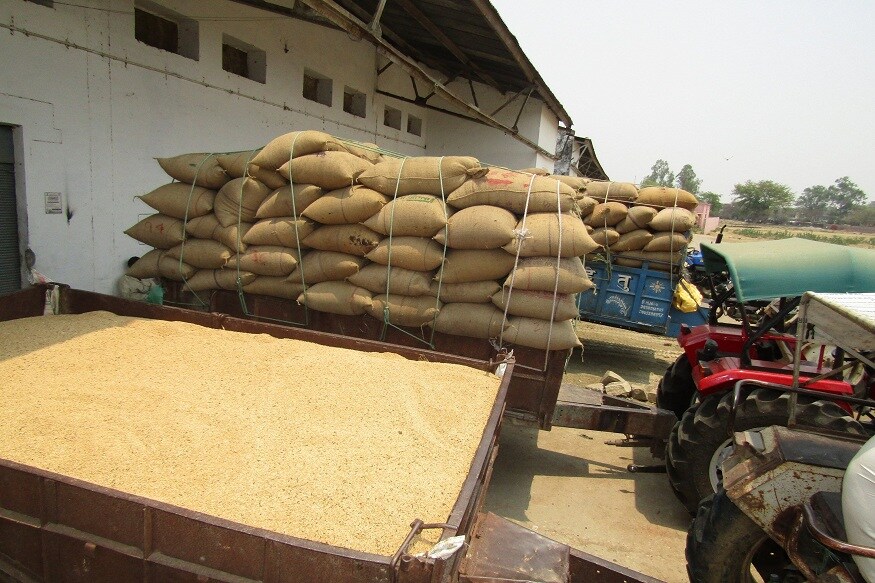 Kisan news in hindi, farmers news, Haryana mandi, payment of wheat procurement, हिंदी में किसान न्यूज, किसान समाचार, हरियाणा की अनाज मंडी, गेहूं खरीद का भुगतान, Manohar Lal khattar, Haryana Government, मनोहरलाल खट्टर, हरियाणा सरकार, कोविड-19 लॉकआउट, Coronavirus Lockdown, किसान, Farmer, न्यूनतम समर्थन मूल्य, MSP-Minimum Support Price, Haryana Agriculture