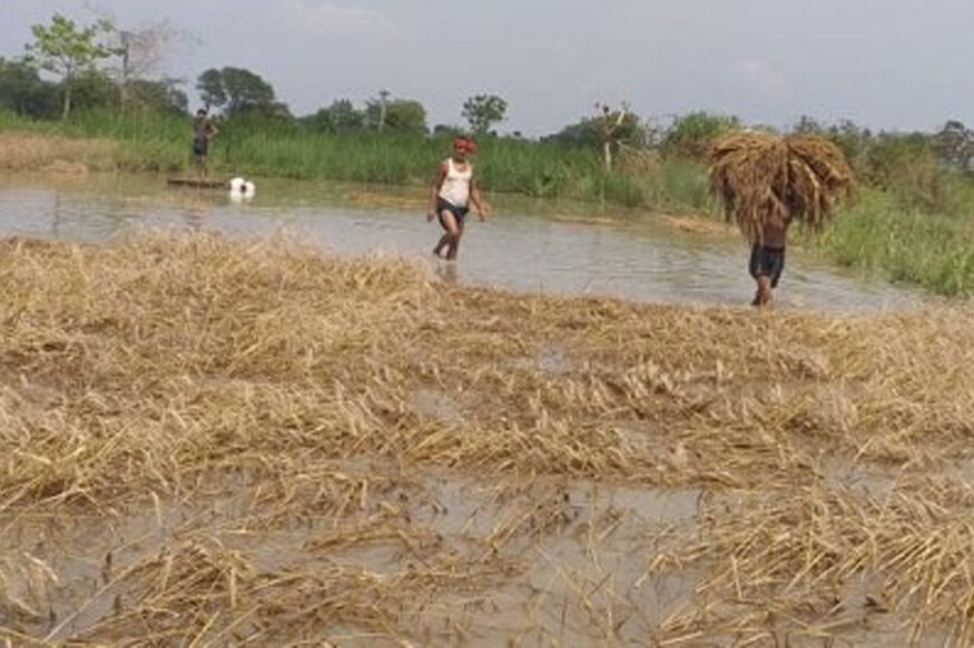 large excess rain in up, State wise unseasonal rainfall, damage wheat crop, rabi crop, coronavirus lockdown, farmers, kisan, Compensation for crop damage, up, bihar, यूपी में सामान्य से अधिक बारिश, राज्यवार बेमौसम बारिश, गेहूं की फसल को नुकसान, रबी की फसल, कोरोना वायरस लॉकडाउन, किसान, फसल क्षति के लिए मुआवजा, यूपी, बिहार