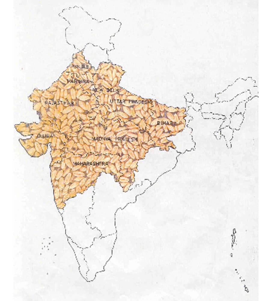 Wheat purchasing, Wheat Procurement in haryana, haryana mandi, Haryana farmers, Meri Fasal Mera Byora, Agriculture, FCI and Food and Supplies Department, Covid-19, गेहूं की खरीद, हरियाणा में गेहूं की खरीद, हरियाणा की मंडी, हरियाणा के किसान, मेरा फसल मेरा ब्योरा, कृषि विभाग, एफसीआई, खाद्य और आपूर्ति विभाग, कोविड-19