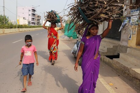 रायपुर व आस पास के इलाकों से सूखी लकड़ियां बिन कर महिलाएं घर ले जाती नजर आईं.