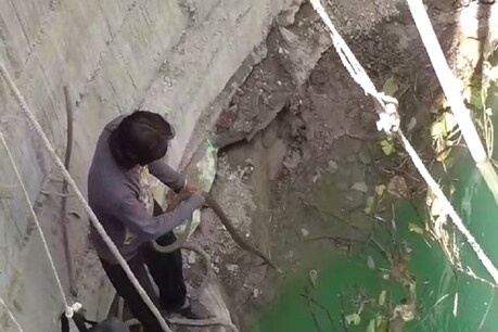 रतलाम में सांप का रेस्क्यू ऑपरेशन