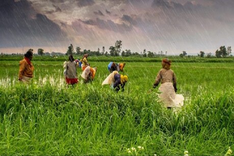 'किसी भी राज्‍य में अपनी कीमत पर फसल बेचने से बढ़ेगी किसानों की आय, अध्‍यादेश संघीय ढांचे का उल्‍लंघन नहींं'