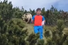 VIDEO: जंगल में फोटो खिंचा रहा था बच्चा और पीछे से अचानक आ गया भालू, और फिर...