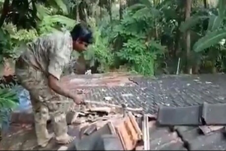 Watch: फॉरेस्ट ऑफिसर ने नंगे हाथ कोबरा को बाहर निकाला, रोंगटे खड़े कर देगा वायरल Video Watch: फॉरेस्ट ऑफिसर ने नंगे हाथ कोबरा को बाहर निकाला, रोंगटे खड़े कर देगा वायरल Video