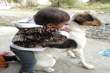 कुत्ते ने काट लिया तो युवकों ने घर में घुसकर उसे पीट-पीट कर मार डाला... कुत्ते ने काट लिया तो युवकों ने घर में घुसकर उसे पीट-पीट कर मार डाला...