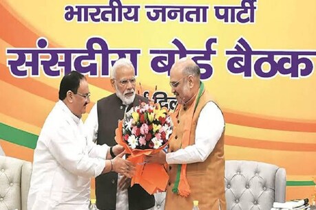 मोदी सरकार के दूसरे कार्यकाल की सालगिरह से पहले सरकार काम काज के प्रचार-प्रसार में जुटी BJP मोदी सरकार के दूसरे कार्यकाल की सालगिरह से पहले सरकार काम काज के प्रचार-प्रसार में जुटी BJP