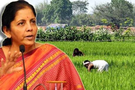 7 Points में जानें वित्त मंत्री के बयान की बड़ी बातें, किसानों और मछुआरों सहित इन लोगों मिलेगा राहत पैकेज का फायदा 7 Points में जानें वित्त मंत्री के बयान की बड़ी बातें, किसानों और मछुआरों सहित इन लोगों मिलेगा राहत पैकेज का फायदा
