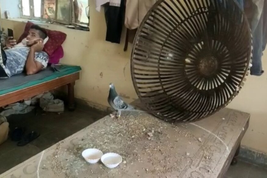 Rajasthan