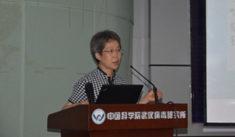 corona virus update, covid 19 update, china corona virus, wuhan lab issue, china bat woman, कोरोना वायरस अपडेट, कोविड 19 अपडेट, चीन कोरोना वायरस, वुहान लैब विवाद, चीन की बैट वूमन