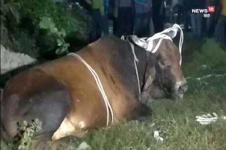 जहरीली गैस वाले 80 फीट गहरे कुंए में गिरा सांड, बाहर निकालने में रेस्क्यू टीम हो रही परेशान जहरीली गैस वाले 80 फीट गहरे कुंए में गिरा सांड, बाहर निकालने में रेस्क्यू टीम हो रही परेशान