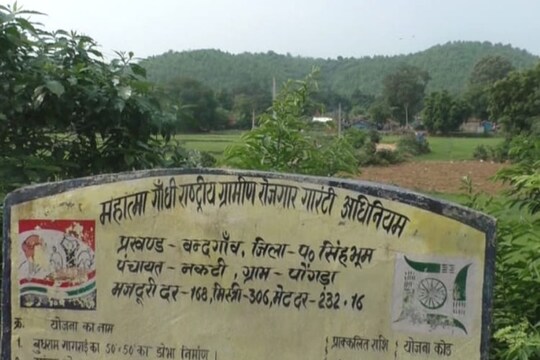 पश्चिमी सिंहभूम में मनरेगा के तहत 4 हजार एकड़ में बागवानी कराने का फैसला लिया गया है. 
