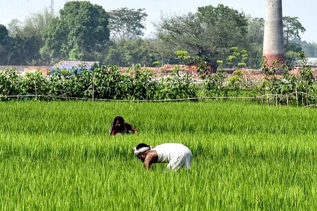 वित्त मंत्री निर्मला सीतारमण ने किसान संगठन और खेती से जुड़े कामों के लिए 1 लाख करोड़ दिए