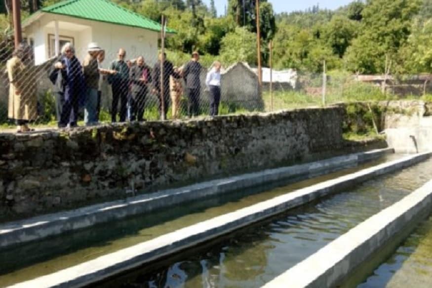fishrie trout farming, मत्स्य विभाग 4000 मीटर से ऊंचाई वाले इलाक़ों में ट्राउट पालन को बढ़ावा दे रहा है.