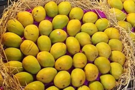 उन्होंने कहा, मैं हमेशा से वैज्ञानिक बनना चाहती थी.