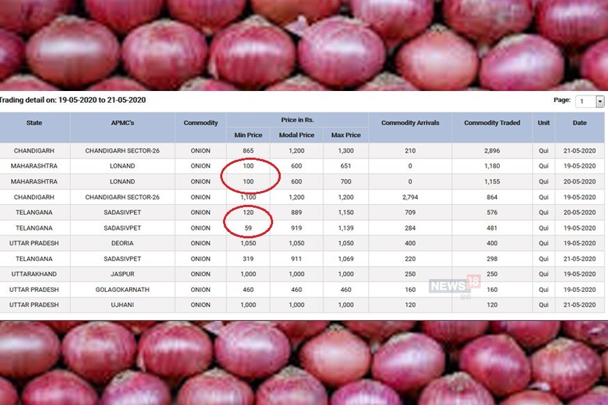 who is responsible for Onion price hike, reason of increase onion price rate, mandi rate, Maharashtra, onion Hoarding, business ideas, क्यों बढ़ रहा है प्याज का दाम, प्याज की कीमतों में वृद्धि, प्याज का भाव, प्याज के दाम बढ़ने का कारण, प्रमुख प्याज उत्पादक राज्य, महाराष्ट्र, प्याज की जमाखोरी