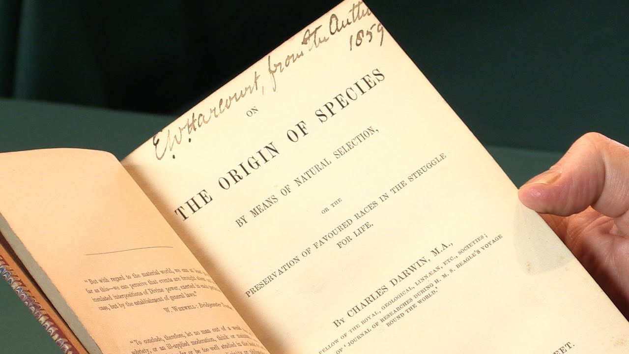charles darwin, darwin theory, american law, america higher education, controversial law, चार्ल्स डार्विन, डार्विन सिद्धांत, अमेरिकी कानून, अमेरिका उच्च शिक्षा, विवादास्पद कानून