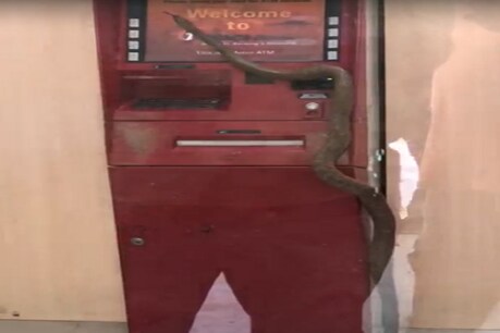 Lockdown में बाहर निकला सांप, ICICI बैंक के ATM में घुसा, देखें Video Lockdown में बाहर निकला सांप, ICICI बैंक के ATM में घुसा, देखें Video