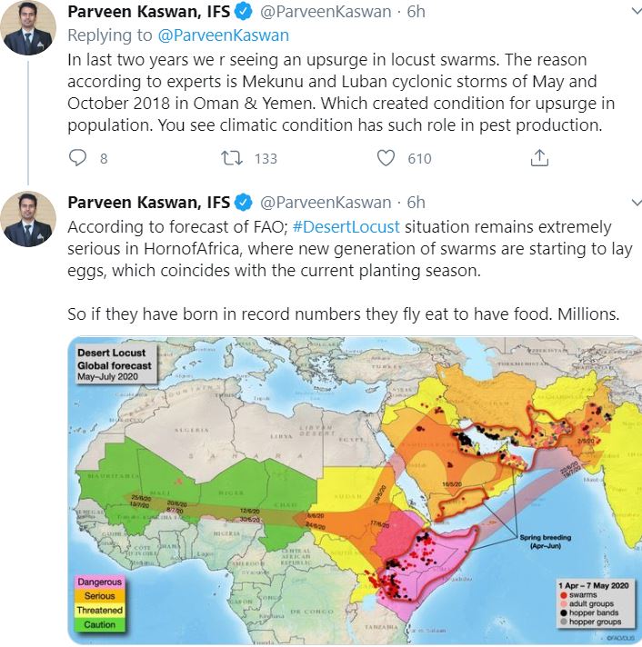 locust swarm attack, what is locust, how do locusts attack, how dangerous are locusts, locust attack in india, टिड्डियों के हमले, टिड्डियां क्या हैं, टिड्डा कैसा होता है, टिड्डी दल कितना खतरनाक है, भारत में टिड्डी आतंक