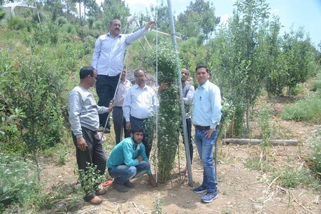 उत्तराखंड के किसान ने लगाया ऐसा धनिया कि अब Guinness Book of World Records में आया नाम उत्तराखंड के किसान ने लगाया ऐसा धनिया कि अब Guinness Book of World Records में आया नाम