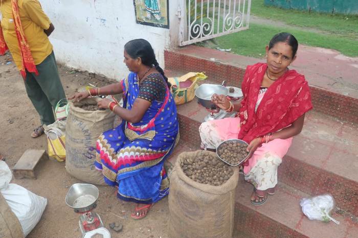 मानसून आते ही बाजार में आई सबसे महंगी सब्जी, खरीदने के लिए ढीली करनी होगी जेब | Know about the most expensive vegetable in the market Boda in Chhattisgarh