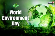 World Environment Day 2020: मनुष्य पर्यावरण को बचा सकता है, जानें कैसे