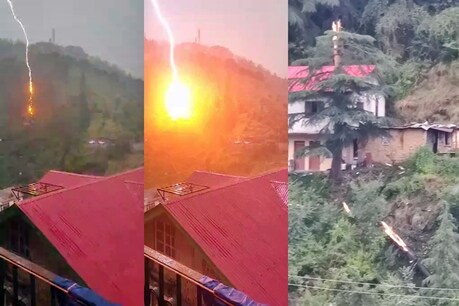 OMG! शिमला शहर में ओलावृष्टि के बीच गिरी आसमानी बिजली, पेड़ धराशायी, देखें VIDEO OMG! शिमला शहर में ओलावृष्टि के बीच गिरी आसमानी बिजली, पेड़ धराशायी, देखें VIDEO