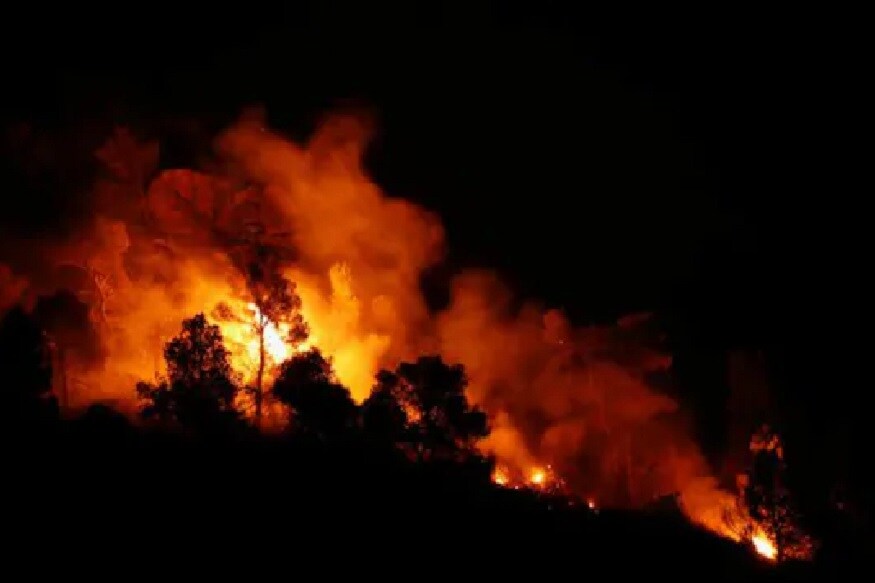 Wild fires