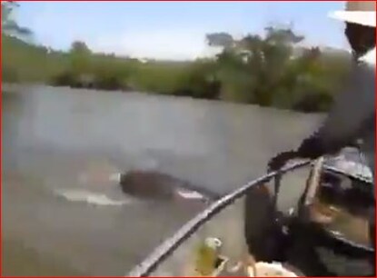 जब 17 फीट लंबे एनाकोंडा को पानी से बाहर खींचने लगा शख्स, देखें VIDEO जब 17 फीट लंबे एनाकोंडा को पानी से बाहर खींचने लगा शख्स, देखें VIDEO