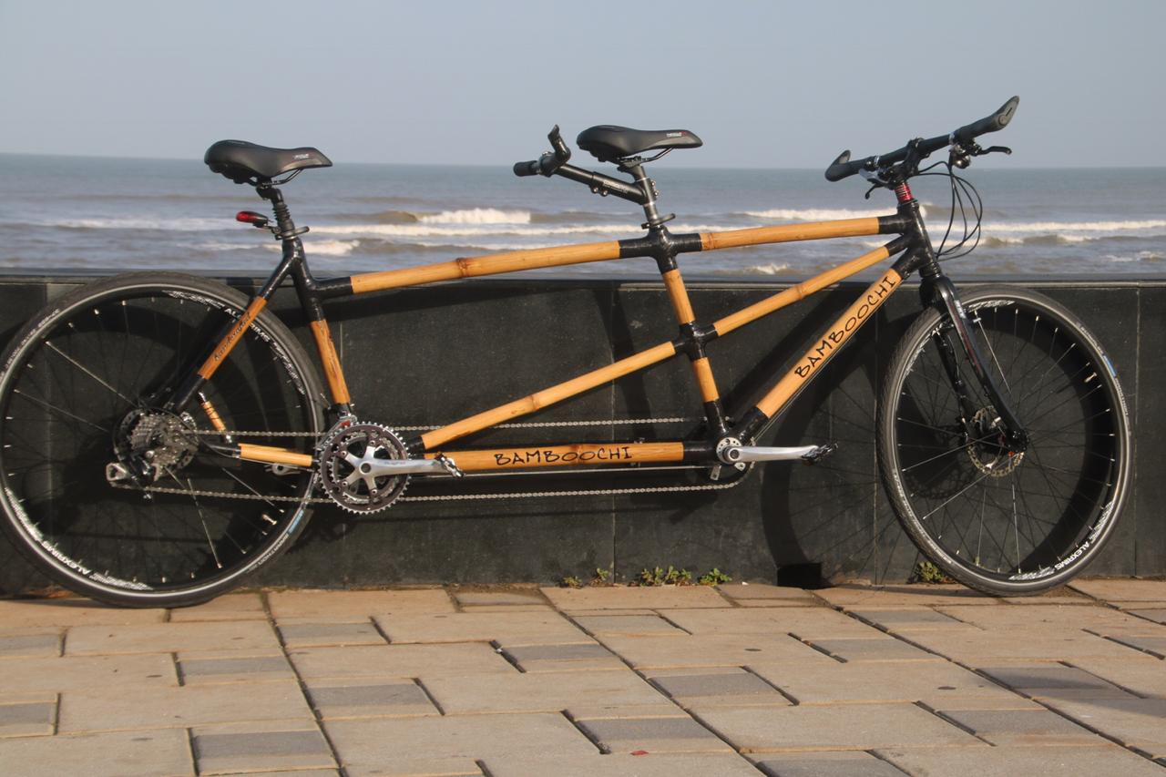 world bicycle day, cycle facts, corona virus update, covid 19 update, lockdown update, वर्ल्ड साइकिल डे, साइकिल फैक्ट्स, कोरोना वायरस अपडेट, कोविड 19 अपडेट, लॉकडाउन अपडेट