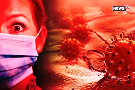 गुजरात में बीते 24 घंटे में कोरोना के 498 नए केस और 29 लोगों की मौत, कुल 19,617 मरीज गुजरात में बीते 24 घंटे में कोरोना के 498 नए केस और 29 लोगों की मौत, कुल 19,617 मरीज