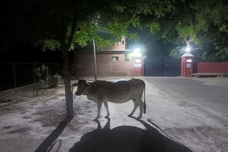 बीकानेर: इस शख्स ने किया कुछ ऐसा, आधी रात कलेक्टर आवास पहुंची पुलिस, जानें पूरा मामला बीकानेर: इस शख्स ने किया कुछ ऐसा, आधी रात कलेक्टर आवास पहुंची पुलिस, जानें पूरा मामला