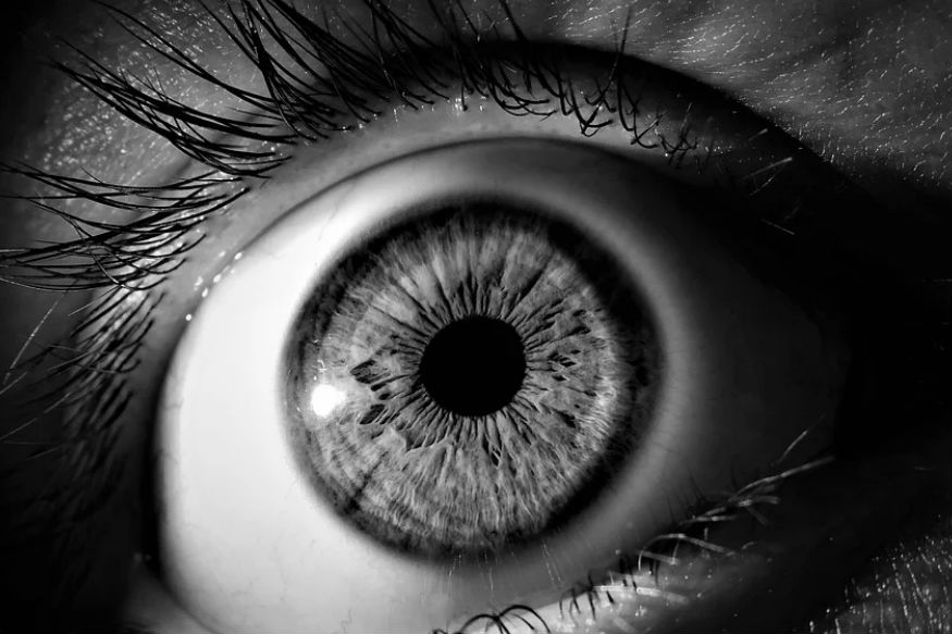 eye