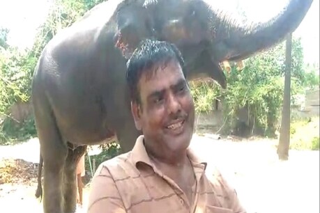 मिसाल! बेटे को जायदाद से बेदखल कर हाथियों के नाम लिख दी 5 करोड़ की संपत्ति, पढ़ें पूरी कहानी