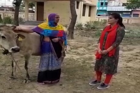 हाथरस में पशुओं की टैगिंग शुरू हो गई है, इसके तहत उनके लिए आधार कार्ड जारी किए जा रहे हैं.