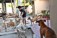 Lockdown Friendship: आवारा पशुओं को खिलाया खाना, अब आर्यन से मिलने आते हैं ‘बेस्ट फ्रेंड’