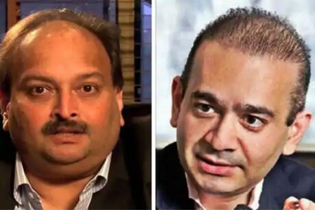 नीरव मोदी-मेहुल चोकसी पर कसा शिकंजा, 1350 करोड़ की ज्वैलरी विदेशों से वापस लाई गई नीरव मोदी-मेहुल चोकसी पर कसा शिकंजा, 1350 करोड़ की ज्वैलरी विदेशों से वापस लाई गई