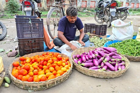बिहार: Petrol-Diesel के बाद 4 गुना महंगा हुआ टमाटर, जायके से धनिया पत्ता भी गायब बिहार: Petrol-Diesel के बाद 4 गुना महंगा हुआ टमाटर, जायके से धनिया पत्ता भी गायब
