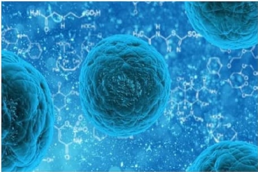 Cell
