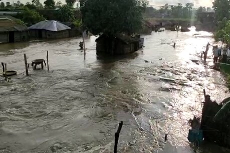 यूपी में 1 लाख 35 हजार लोग अब तक बाढ़ से प्रभावित, 13 हजार 257 हेक्टेयर जमीन डूबी यूपी में 1 लाख 35 हजार लोग अब तक बाढ़ से प्रभावित, 13 हजार 257 हेक्टेयर जमीन डूबी