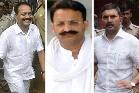 Vikas Dubey Encounter: इन 7 बड़े माफियाओं की गिरफ्तारियों के पीछे भी यूपी पुलिस का 'खौफ'