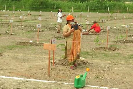 गिनीज़ बुक में दर्ज होगा UP का पौधारोपण अभियान, मेरठ, लखनऊ सहित 8 जगहों पर एक साथ लगाए हजारों पौधे गिनीज़ बुक में दर्ज होगा UP का पौधारोपण अभियान, मेरठ, लखनऊ सहित 8 जगहों पर एक साथ लगाए हजारों पौधे