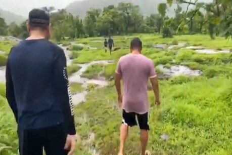 फार्महाउस में मानसून का आनंद ले रहे हैं सलमान खान और यूलिया वंतूर, देखें तस्वीर और वीडियो फार्महाउस में मानसून का आनंद ले रहे हैं सलमान खान और यूलिया वंतूर, देखें तस्वीर और वीडियो