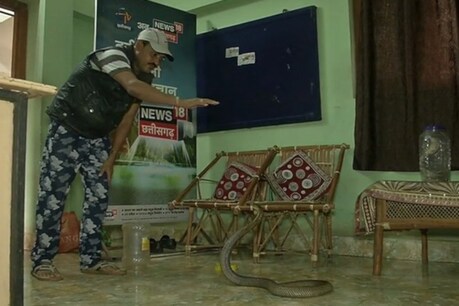 सांपों का 'खास दोस्त' है बस्तर पुलिस का ये जवान, हाथ के इशारों पर नाचते हैं जहरीले नाग! सांपों का 'खास दोस्त' है बस्तर पुलिस का ये जवान, हाथ के इशारों पर नाचते हैं जहरीले नाग!