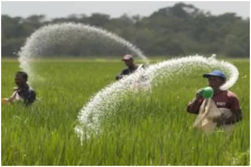 urea crisis, kharif season, fertilizer, MP, Madhya Pradesh, Union Minister of Chemicals and Fertilizers, डी वी सदानंद गौड़ा , किसान, खाद की कमी नहीं होगी, यूरिया कि किल्लत